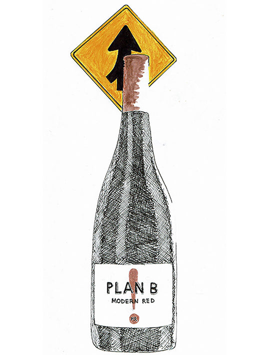 2022 “MR” Modern Red Pinot Noir Syrah